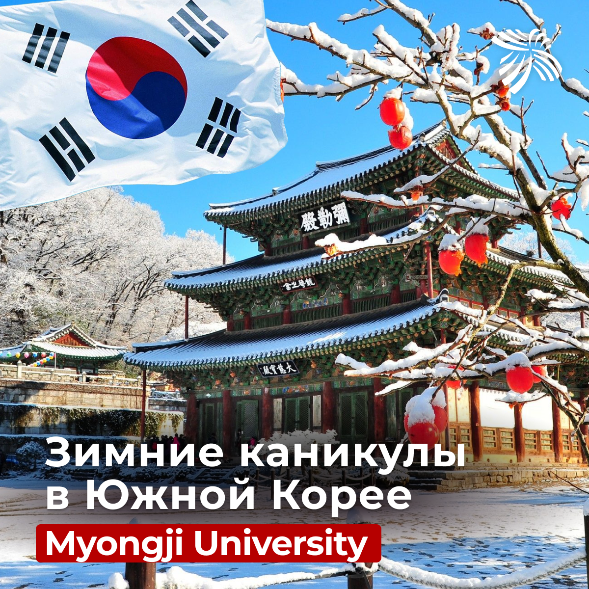 Изображение Зимние каникулы для школьников в Южной Корее